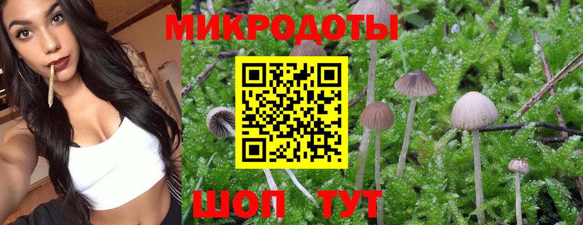 Псилоцибиновые грибы Cubensis  Вход с VPN  Лениногорск 
