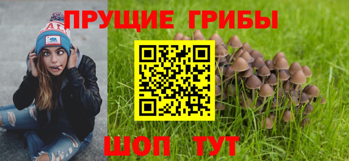 Псилоцибиновые грибы GOLDEN TEACHER Лениногорск